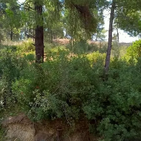 Siviri Sea & Forest Exterior photo